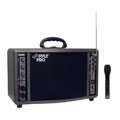 PylePro 200-watt Wireless Battery-powered PA System (Refurbished)