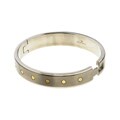 Titanium and 14k Yellow Gold Bangle Bracelet