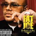 Fat Joe - The Elephant in the Room