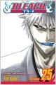 Bleach 25 (Paperback)