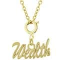Kate Bisset Goldtone Wealth Charm Necklace