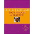 Yoga Wisdom & Practice (Hardcover)