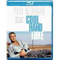 Cool Hand Luke (Blu-ray Disc)