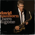 David Sanborn - Here and Gone