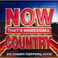 Various Artists - Now That's What I Call Country