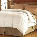 More tips on National Buckpasser Hamilton Famous Maker 400 Thread Count Oversized Goose Down Comforter