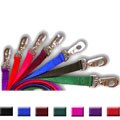 Majestic Pets 6-foot Dog Leash