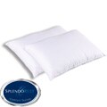 Splendorest 220 TC Cotton Down Alternative Standard-size Pillows (Set of 2)