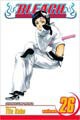 Bleach 26 (Paperback)