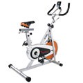 Sunny Indoor Exercise Bike