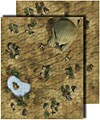 GameMastery Flip-Mat: Desert (Board Game)