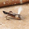 Tan Parachute Hopper Fishing Flies (Set of 12)