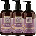 Aromaland Lavender 12-oz Body Lotion (Pack of 3)