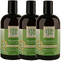 Make Your Hair Grow Faster headline news Aromaland Tea Tree and Lemon 12-oz Shampoos (Pack of 3)