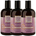 Aromaland Lavender 12-oz Shampoo Lavender (Pack of 3)