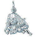 Sterling Silver Lion Family Charm