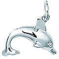 Details on 3d Graffiti Pieces Sterling Silver Dolphin 3D Charm
