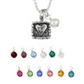 Charming Life Sterling Silver Birthstone Crystal Charm Necklace