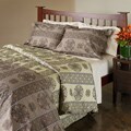 Kristie Medallion Cotton Duvet Cover Set