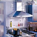 Broan Elite Stainless 30-inch Chimney Wall Hood