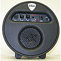 U.S. Blues Guitar Amp with Overdrive