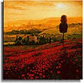 Steve Thoms 'Shades of Poppies' Canvas Art