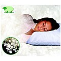 Eden Natural Lambswool Standard Pillow