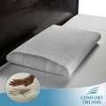 Comfort Dreams Crowned Classic EnviroGreen Queen-size Memory Foam Pillow
