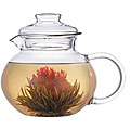 Primula Tea Pot/ Infuser