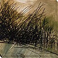 Caroline Ashton 'Nest Series I' Art