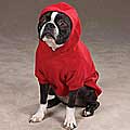 Tips on wholesale seafood online Zack & Zoey Soft Red Dog Sweatshirt