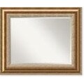 Vienna Bronze Wall Mirror - Large