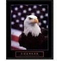 'Courage - Eagle and Flag' Framed Art Print