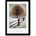 David Lorenz Winston 'Solitude' Framed Art Print