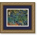 Vincent van Gogh 'Les Irises' Framed Art Print
