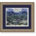 Vincent van Gogh 'The Olive Trees' 1889 Framed Art Print
