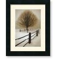 David Lorenz Winston 'Solitude' Framed Art Print