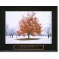 'Endurance - Fall Tree' Framed Art Print