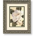 Waltraud Fuchs von Schwarzbek 'Morning Magnolia' Framed Art Print