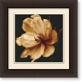 Charles Britt 'Timeless Grace III' Framed Art Print