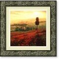 Steve Thoms 'Shades of Poppies' Framed Art Print