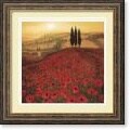 Steve Thoms 'Poppy Field' Framed Art Print