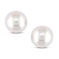 14k Yellow Gold White Freshwater Pearl Stud Earrings (5-5.5 mm)