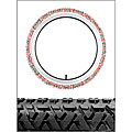 Info blog on personalized toddler SweetSkinz 'Tribe' Bicycle Tire (20 x 1.90)