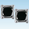 14k White Gold 2ct TDW Black Diamond Princess Studs