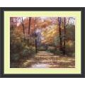 Diane Romanello 'Autumn Road' Framed Art Print