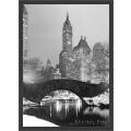 'Central Park' Framed Textured Art