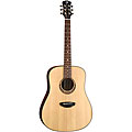 Shade Loving flower Garden Roll Luna 'Gypsy Muse' Acoustic Guitar with Hardshell Case