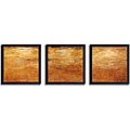 'De la Tierra Cielo (Det) III' Framed Canvas 3-piece Set