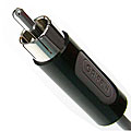 Griffin Technology StereoConnect Cable for iPod and iPhone
